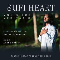 Sufi Whirling