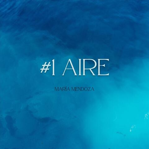 #1 Aire