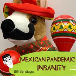 Mexican Pandemic Insanity