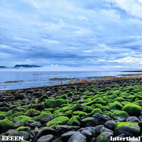 Intertidal