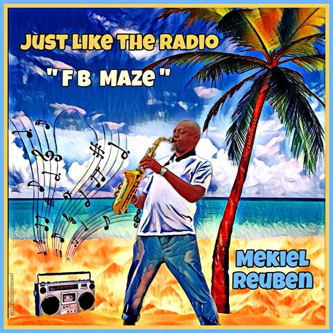 F B Maze