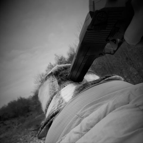 Guns to My Head