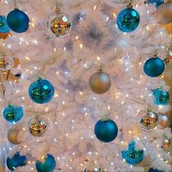 Maybe This Christmas