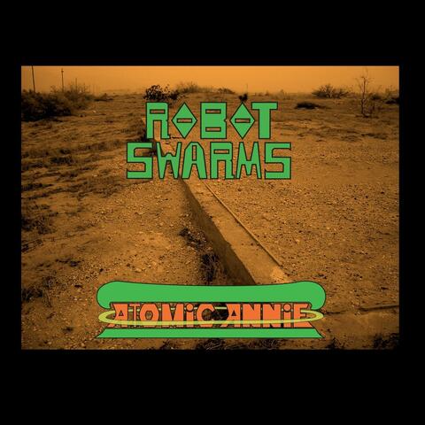 Robot Swarms