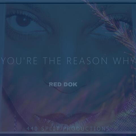 YOU'RE THE REASON WHY