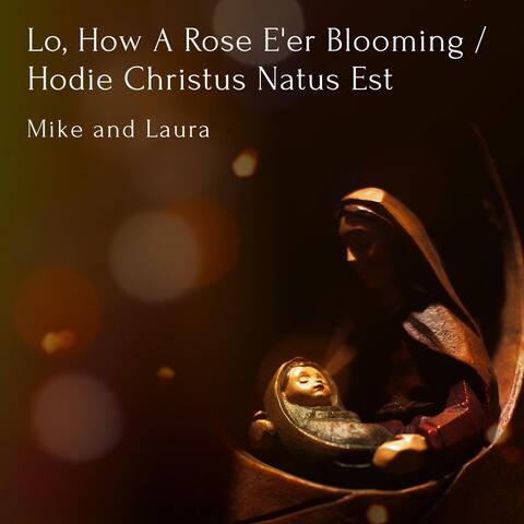Lo, How a Rose E'er Blooming / Hodie Christus Natus Est