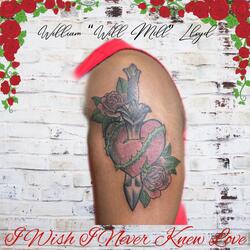 I Wish I Never Knew Love