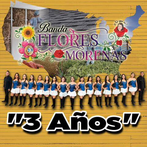 3 Años