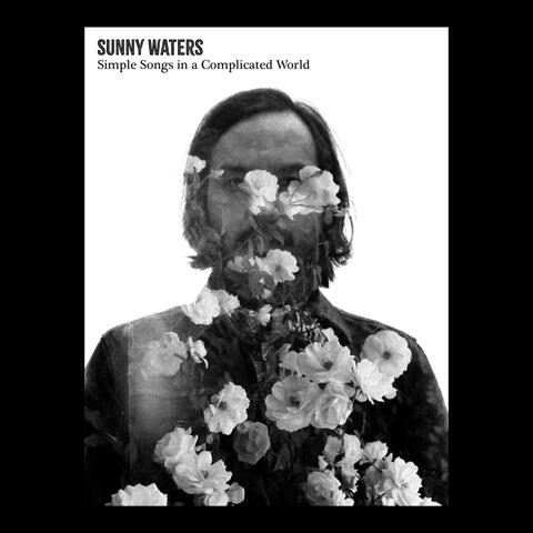 Simple Songs in a Complicated World