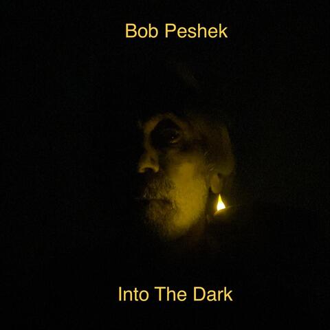 Into the Dark
