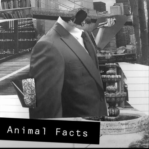 Animal Facts