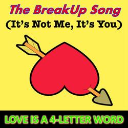 The Breakup Song (It's Not Me, It's You)