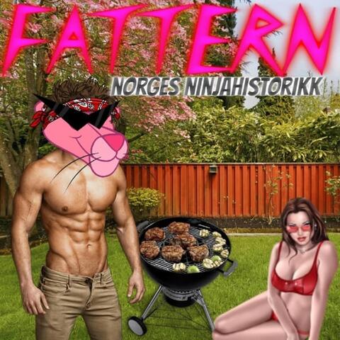 Norges Ninjahistorikk