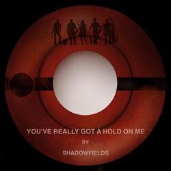 You've Really Got a Hold on Me