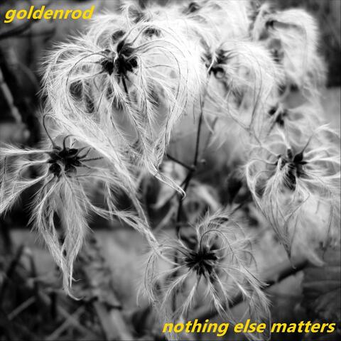 Nothing Else Matters