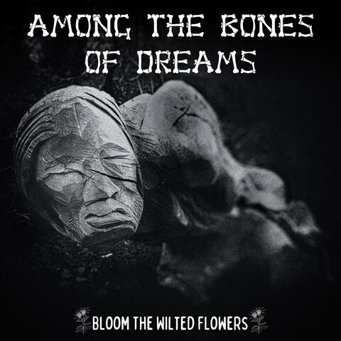 Among The Bones Of Dreams