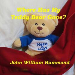 Where Has My Teddy Bear Gone?