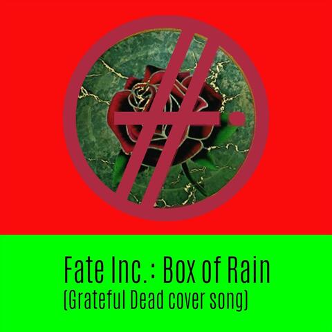 Box of Rain (Grateful Dead Cover)