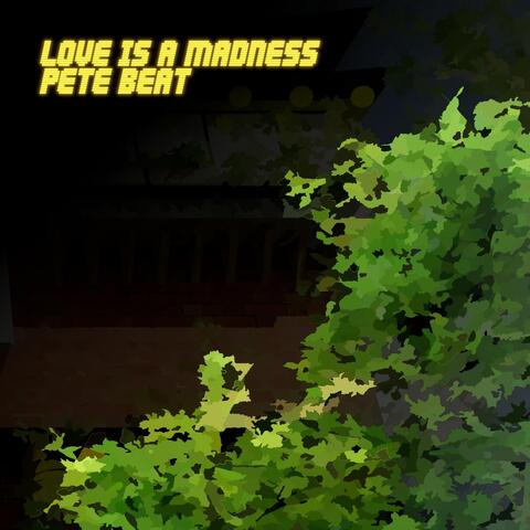 Love Is a Madness