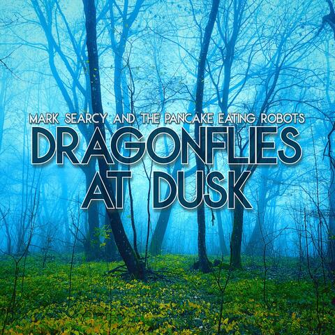 Dragonflies at Dusk