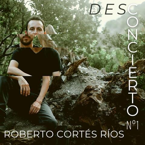 Desconcierto No. 1