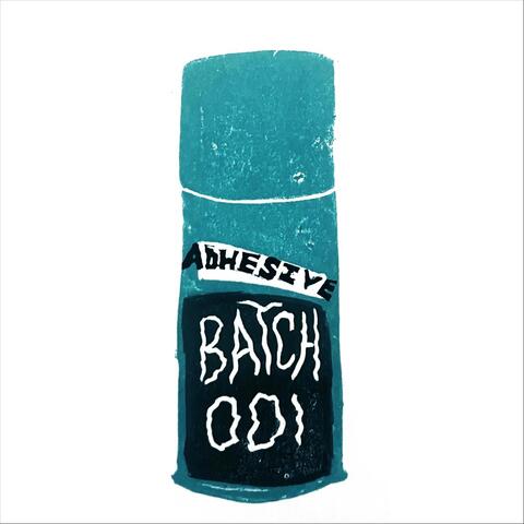 Batch: 001