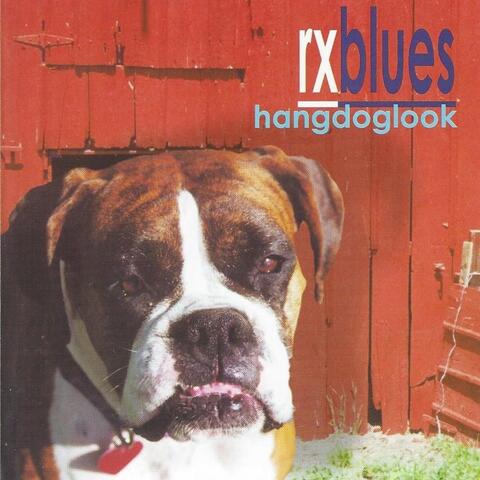 Hang Dog Look