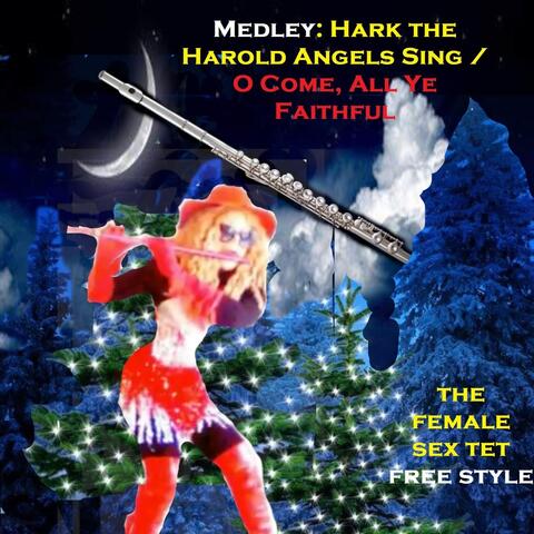 Medley: Hark the Harold Angels Sing / O Come, All Ye Faithful