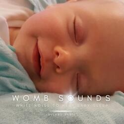 Womb Sounds: White Noise to Help Baby Sleep