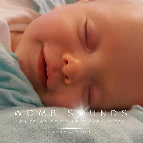 Womb Sounds: White Noise to Help Baby Sleep