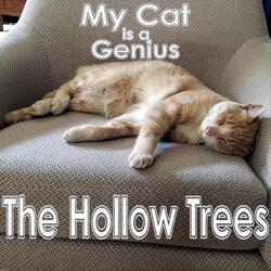 My Cat Is a Genius