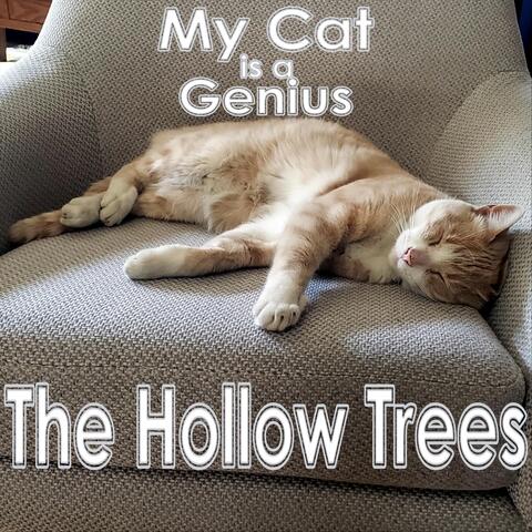 My Cat Is a Genius