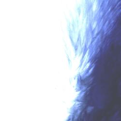 The Path to Glory (feat. Michael Goforth ll)