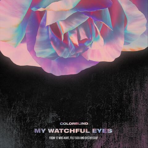 My Watchful Eyes