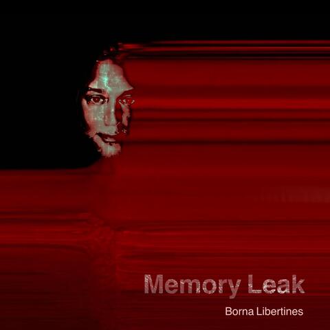 Memory Leak