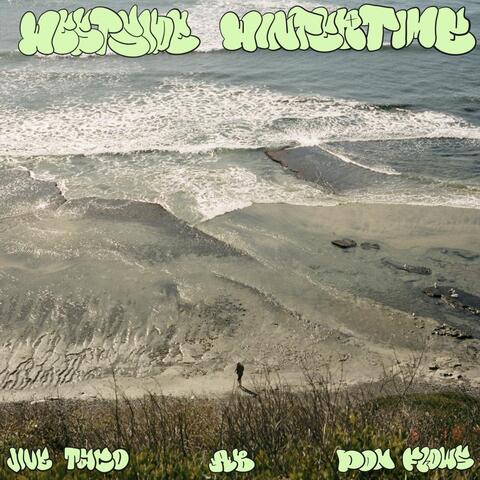 Westside Wintertime (feat. AB & Don Flows)