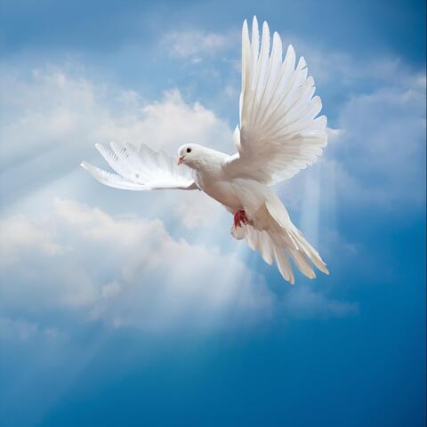 The Spirit of The Lord