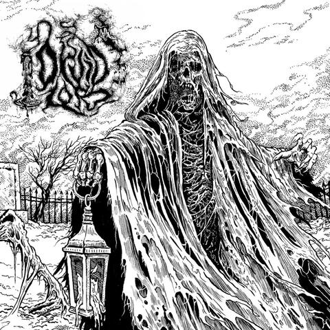 Druid Lord