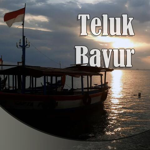 Teluk Bayur
