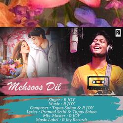 Mehsoos Dil