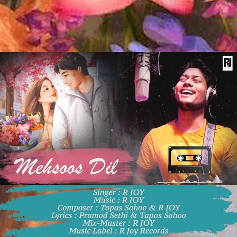 Mehsoos Dil