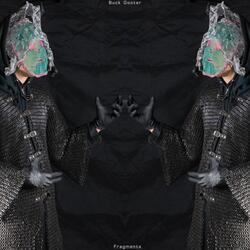Fragments