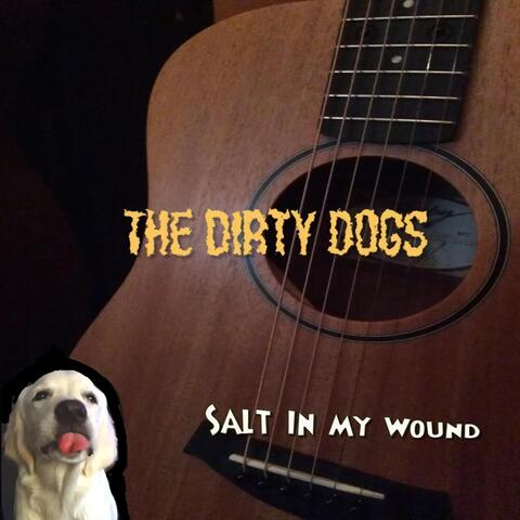 Salt in My Wound
