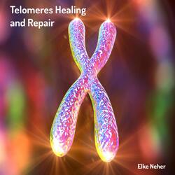 Telomeres Healing and Repair