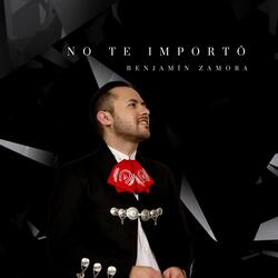 No Te Importó
