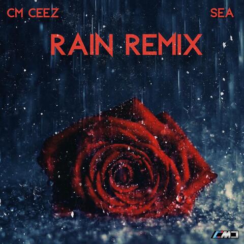 Rain (Remix) [feat. Sea]