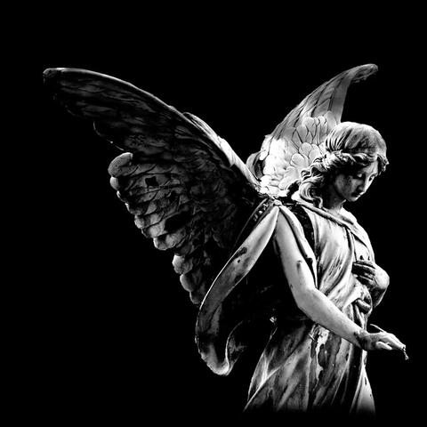 Tes ailes