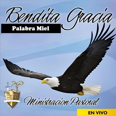 Bendita Gracia (Ministración Pastoral) [En Vivo]