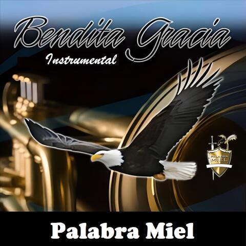 Bendita Gracia (Instrumental)
