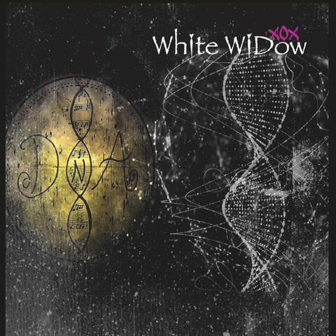 Dna